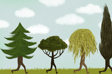 1583980354675055858.gif 20200311160442.gif